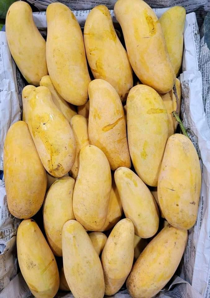 Premium Banana Mango - ১০ কেজি (প্যাকেজিং এবং ডেলিভারিসহ)